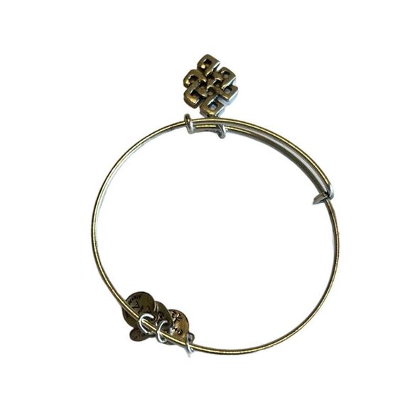 Alex and Ani Endless Knot Silver Charm Bangle Bracelet - Picture 8 of 10